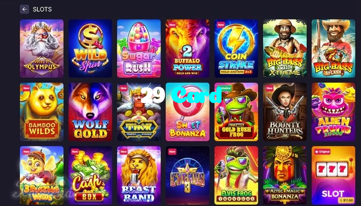 29 Card casino presented on mobile device in Pakistan with slots and live games